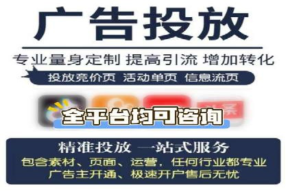 抖音信息流代理在电商行业的应用案例分析